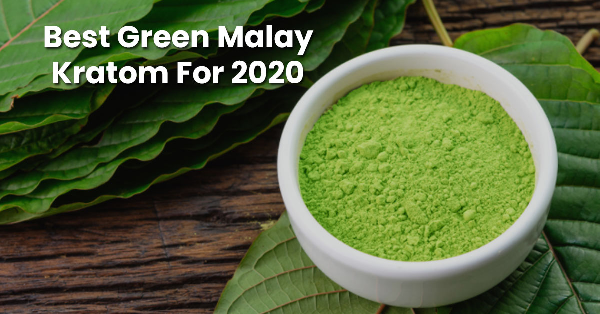 CBDOilsGuide2's tweet photo. Best Green Malay Kratom For 2020
#greenkratom #kratompowder #greenmalay #malaykratom #cbdkratom #hempkratom
Click on the link to avail the offer: https://t.co/jDXqnm5BJK https://t.co/csm4mutTbP
