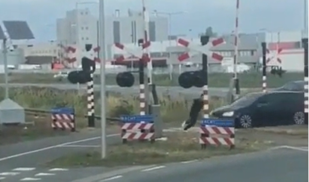 Aanhouding nadat automobilist voetganger aan wil rijden in Oss [video] - ..