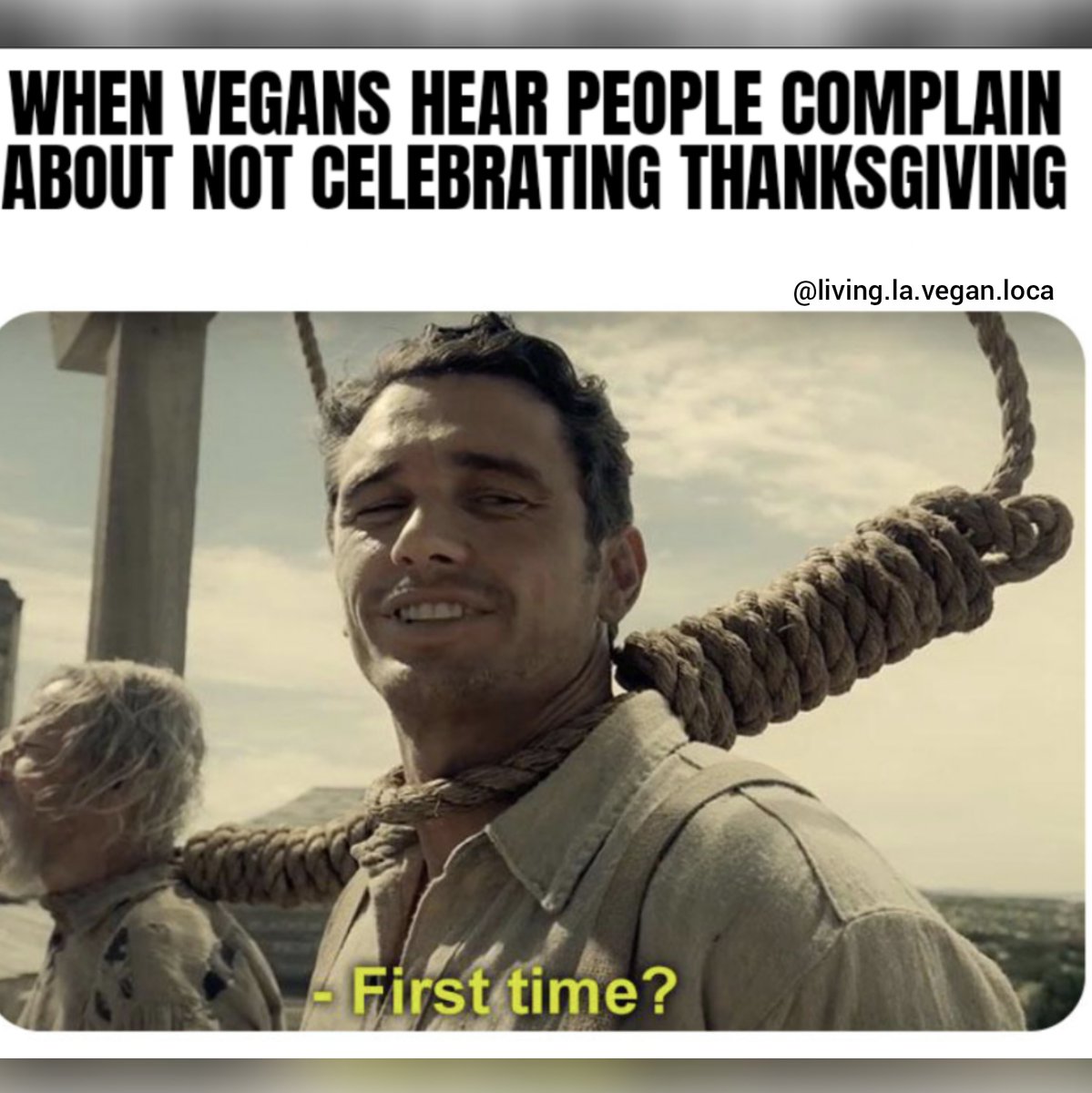 Who else hasn't celebrated thanksgiving in years?
#Thanksgiving #Thanksliving #VeganThanksgiving #TurkeyFree #FriendsNotFood