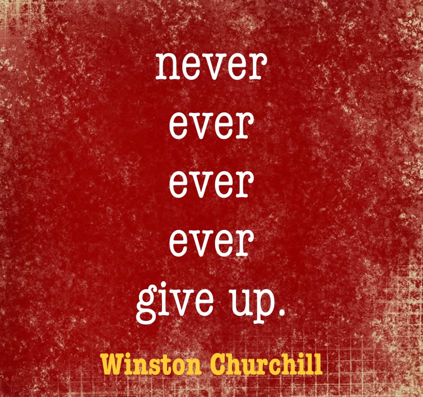 Your daily reminder to never, under any circumstances, even if people tell you to, even though nothing seems to be working..never goddamn give up! #writersofinstagram #writingcommunity #writing #writinginspiration #writinglife #writingcommunityofinstagram