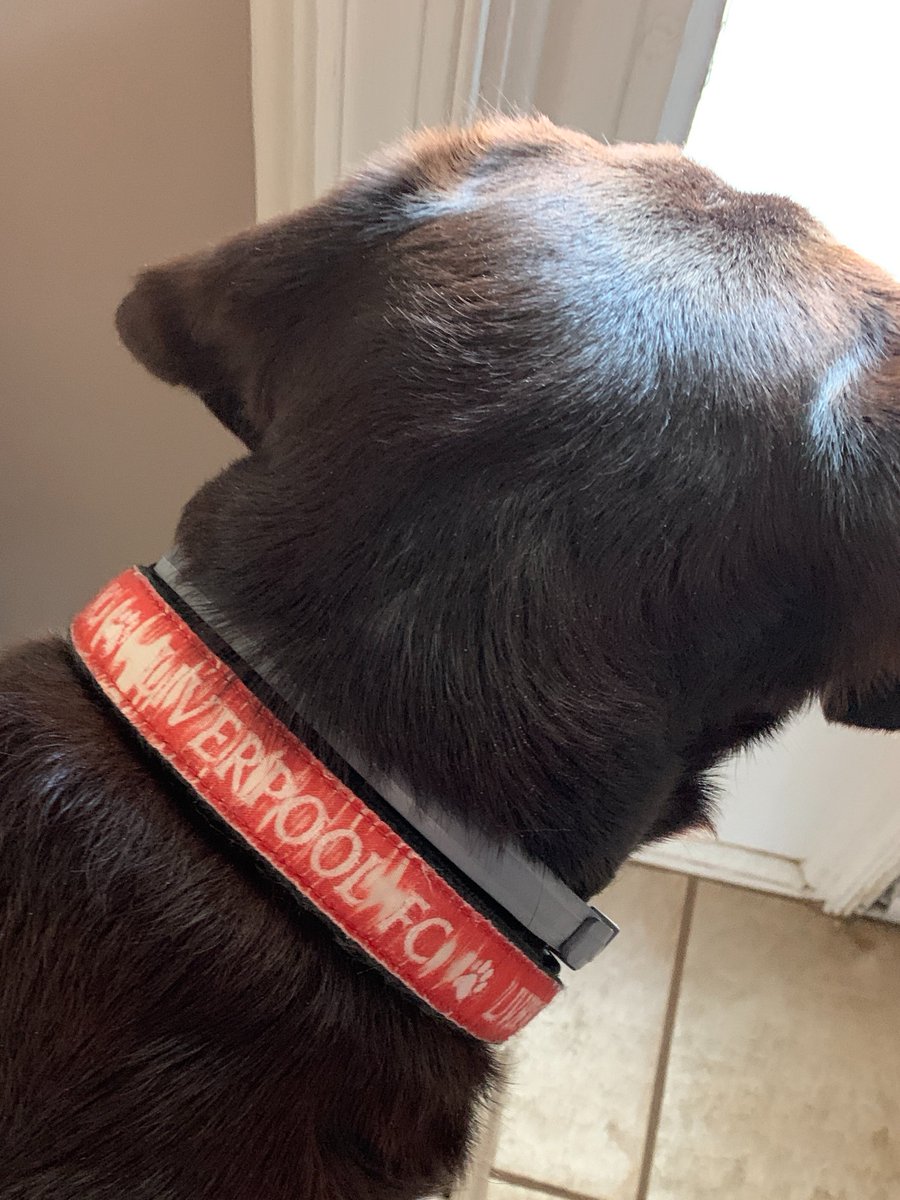 Hey @BBESRoom101, of course I'm reppin' the reds!  Gordie is too.. everyday!