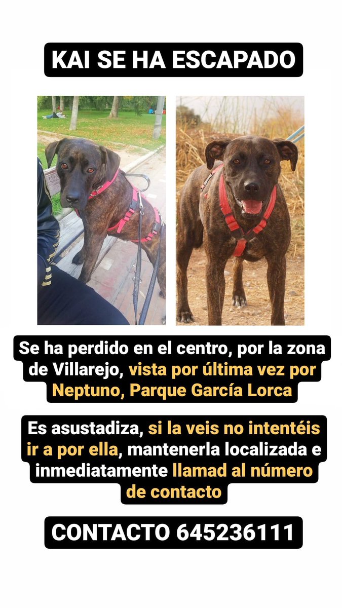 CristinaBaaang's tweet photo. Por favor, difundid 🙏 https://t.co/8wuEBb59Jp