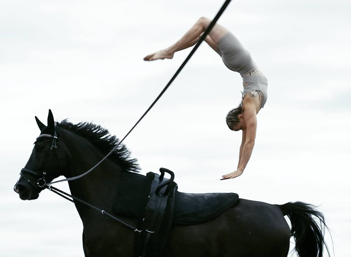 ippahv's tweet photo. Operandi - out tonight 00.00! Alleeeez!✨💓

@WandererParis 

#vaulting #voltige #voltigieren #womenofhiphop #hiphopsweden #malmö https://t.co/4TkDEsLeMn