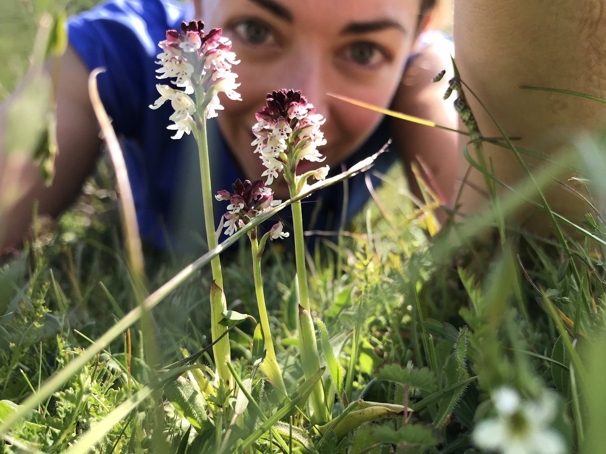 JenniferLPeach's tweet photo. Happy birthday to the Millennium Seed Bank Partnership 🥳🥳 really proud to have been present for a quarter of the twenty years and be a small part of this incredible project https://t.co/Tmp2lLe2OH