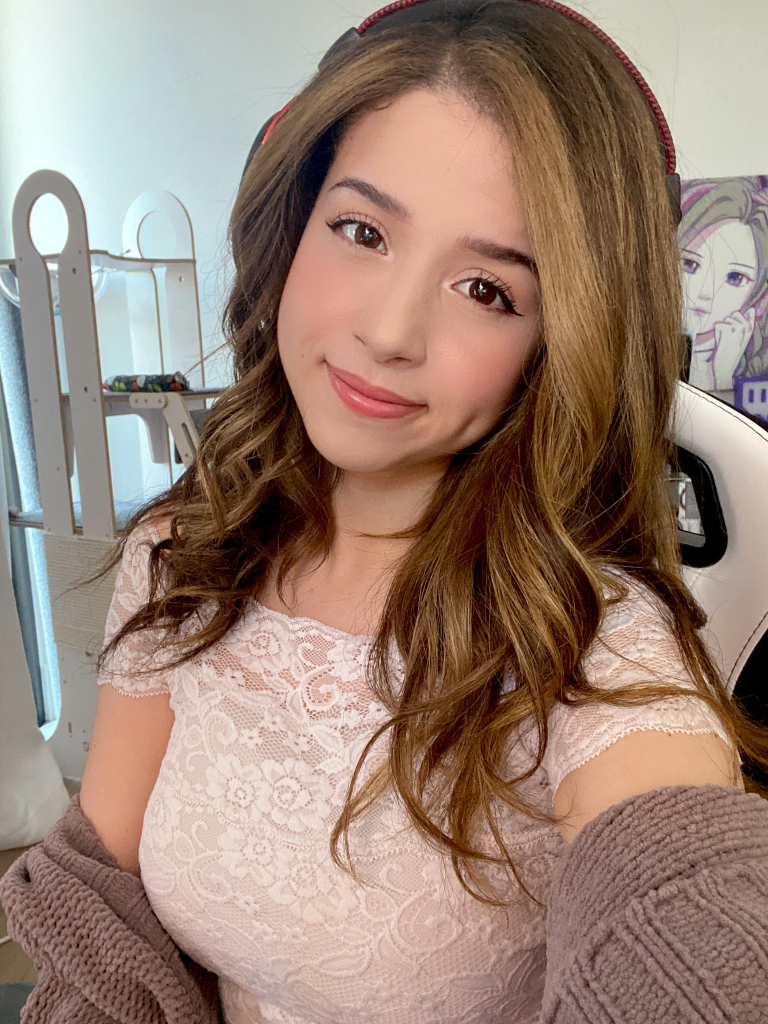 Fitz and Pokimane find themselves in drama on Reddit.
