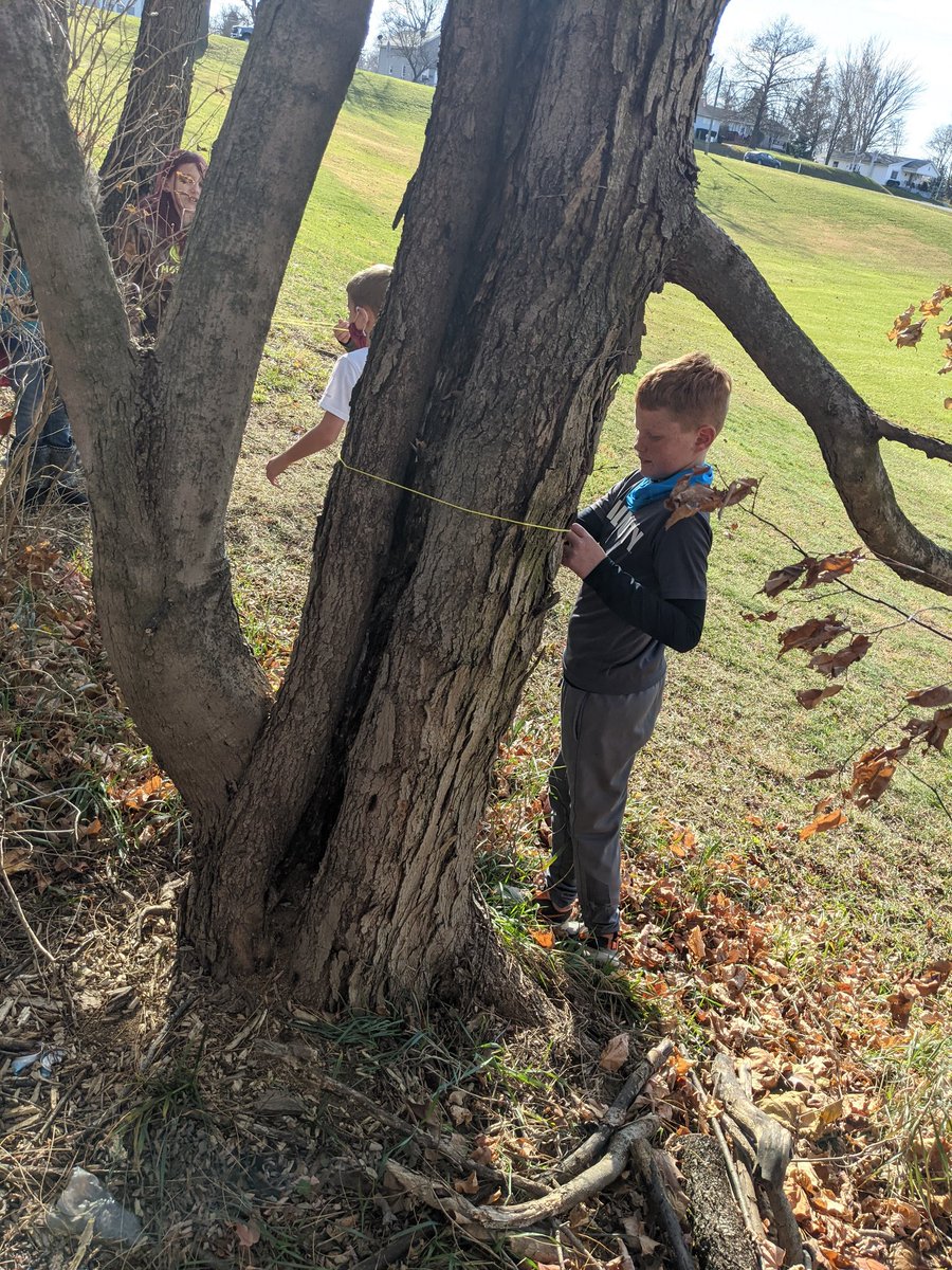 Knippergarten's tweet photo. Loved teaching winter firewood "chord math" yesterday.  A Forrester is a mathematician. https://t.co/P2Coy3DlIr