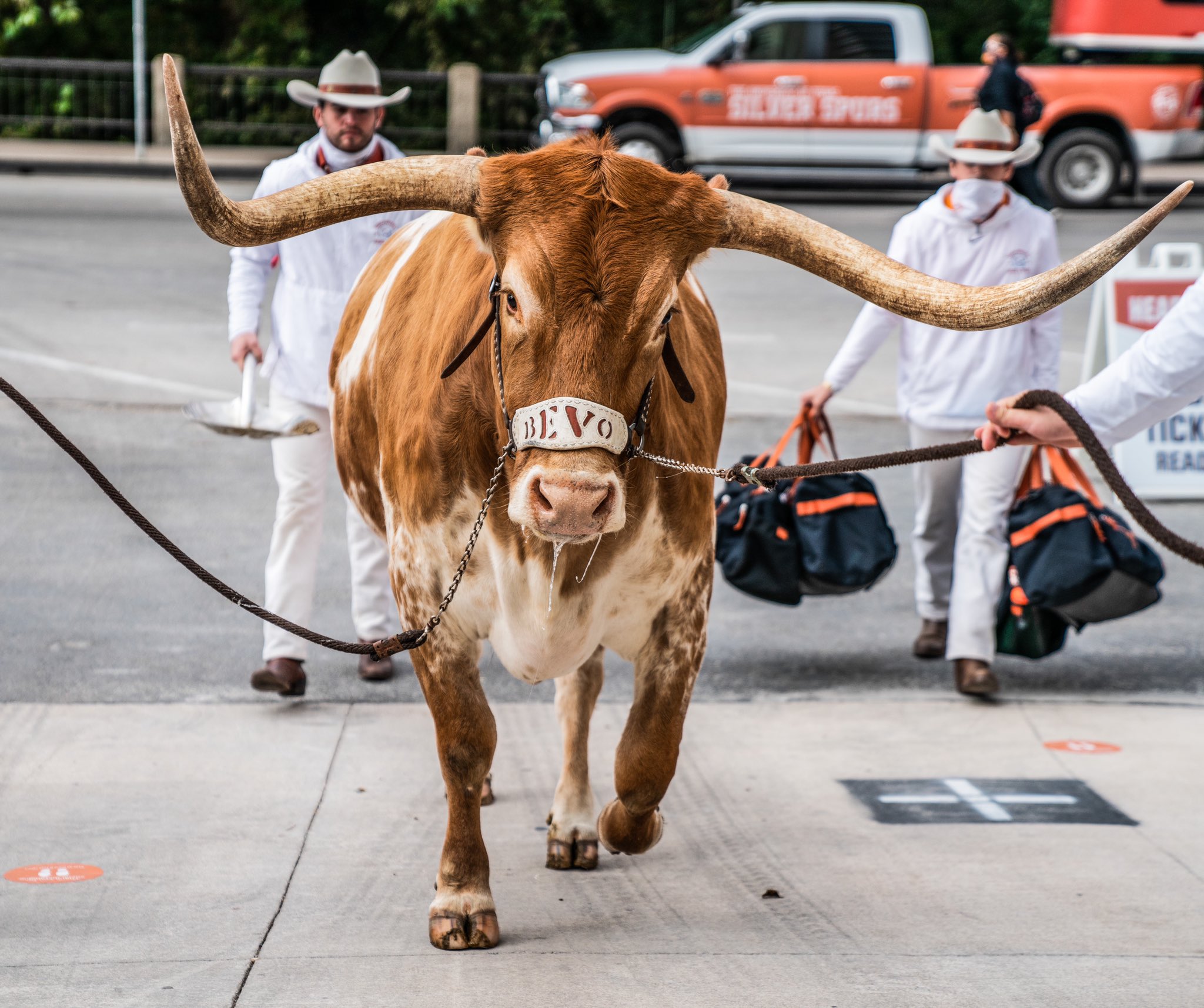 EnM59e-XMAMsSe8?format=jpg&name=large