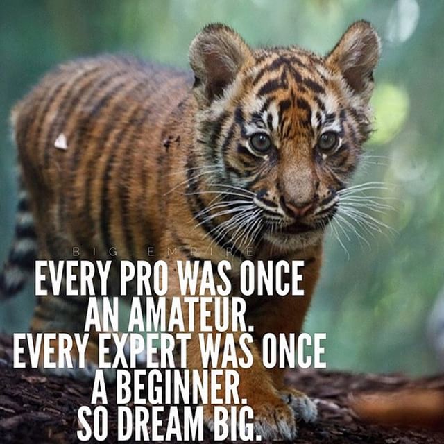 YByunbin's tweet photo. Everyone starts as an amateur.
Don't be afraid to make beginner mistakes.
#growthmindset mlmtips #homebiztips https://t.co/wtT0a7PeLH