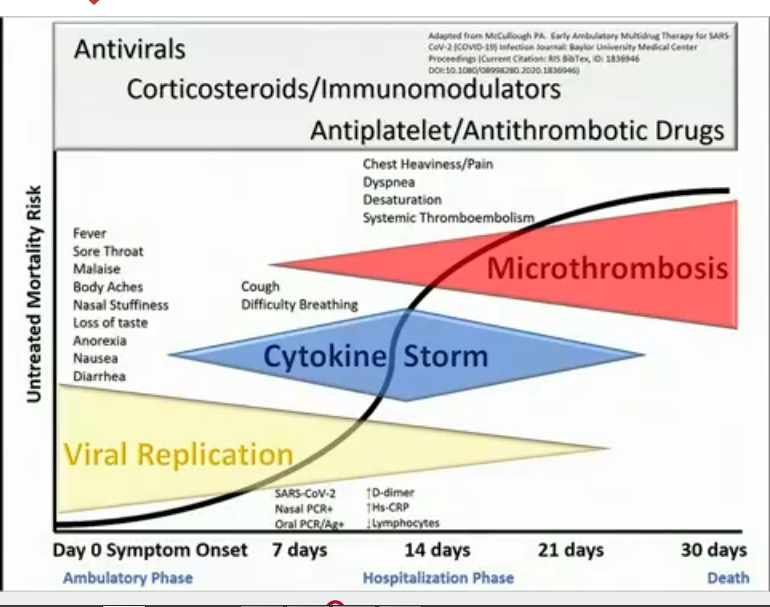 "On a beaucoup appris sur le  #Covid_19 , ses 3 phases: réplication virale, tempête immunitaire et thrombose. Des docteurs ont innové avec une approche comme Dr Zelenko ( #HCQ+  #azithromycine comme  #Raoult + zinc), combinés avec antiviraux, corticosteroides, antithrombotiques... 