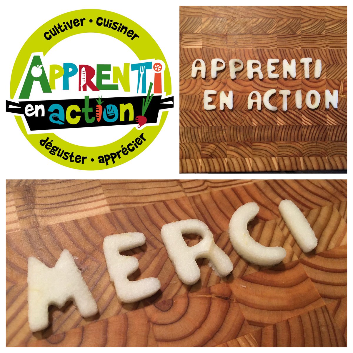 Apprenti en action - Labo éducatif en alimentation tweet media