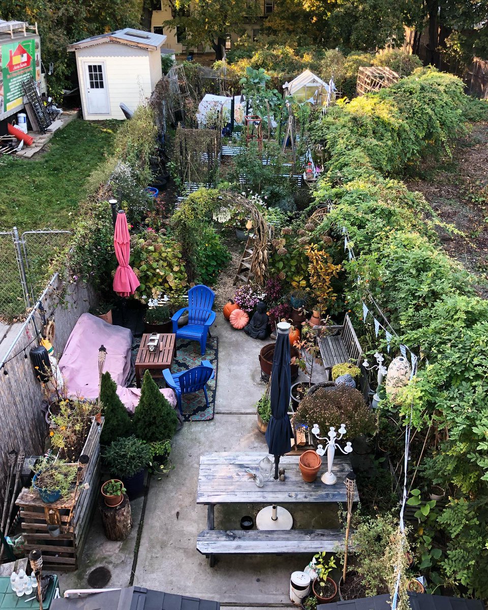 Show us your urban garden! 🌻 If you want to see more pics like this head on over to IG user, 📸: @forgottengardener...

👍 Want 100% non-gmo, raw, untreated seeds? 
🥦 Join the UOG Monthly Seed Club! 
✴️ urbanorganicgardener.cratejoy.com