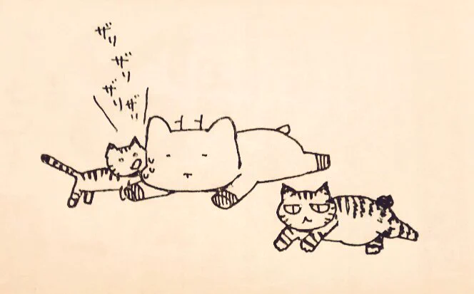 家 