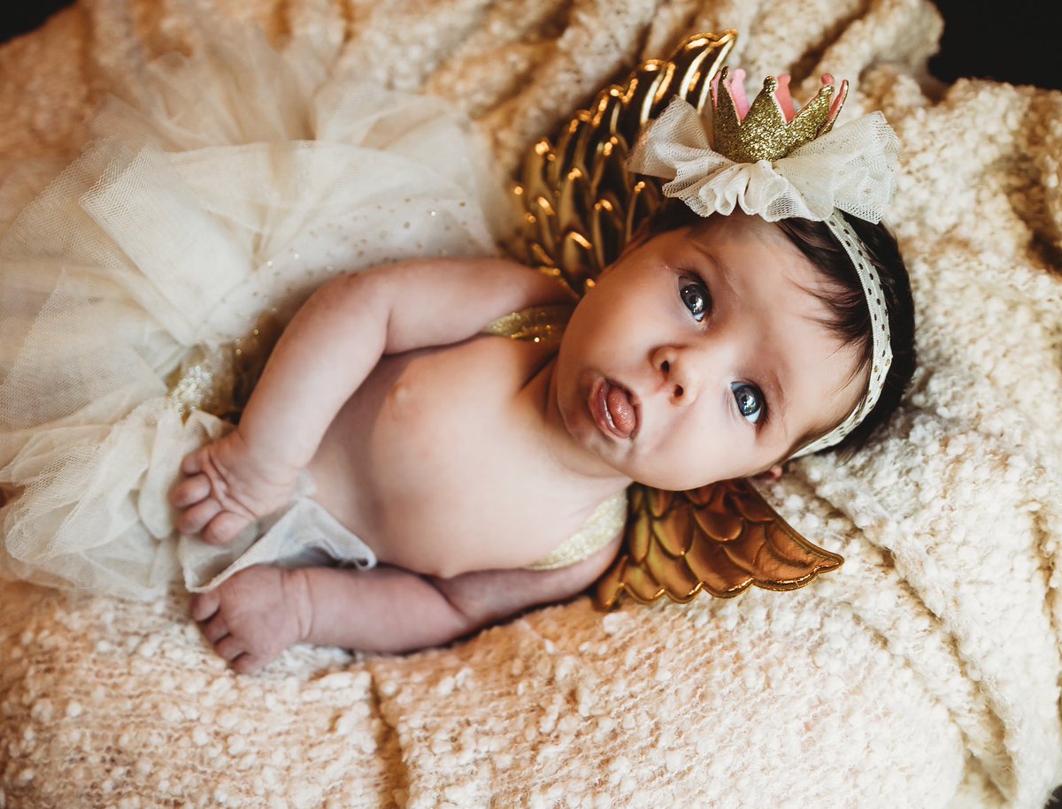 HiebPhotography's tweet photo. When mama tries to tell you it’s time for a nap, but she forgets who runs this show ✨ https://t.co/2tg66aXfeo