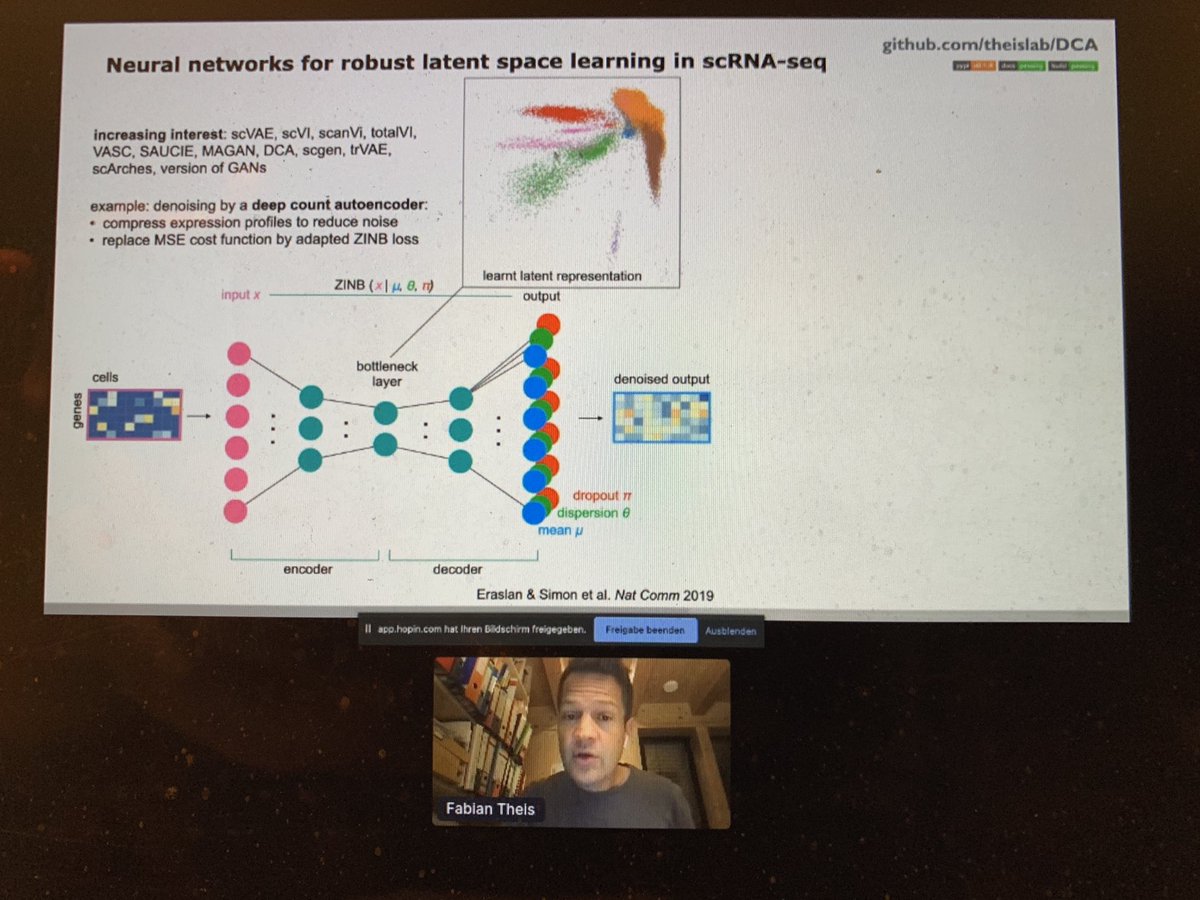 MartinGuilliams's tweet photo. Super exciting to be watching a talk from @fabian_theis again! @VIBLifeSciences Emerging Technologies Single Cell Conference is currently online. I will miss having a nice Belgian beer with the 250 people watching this as well! https://t.co/mt04sdPFWt
