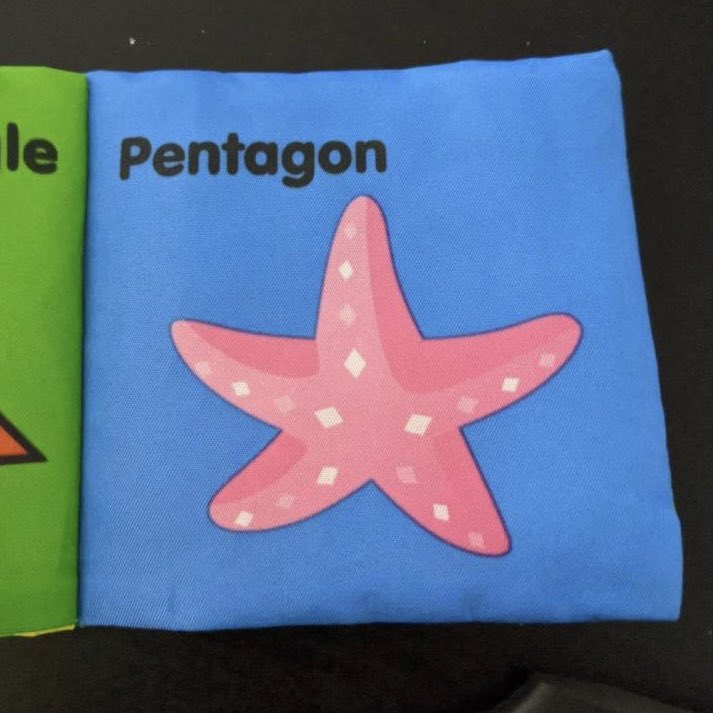 Uncle Duke (@UncleDuke1969) on Twitter photo 2020-11-19 15:22:16 White House briefing book leaked White House briefing book leaked