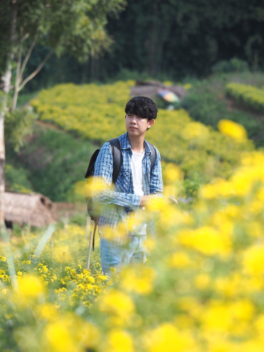 TAT Chiang Rai tweet media