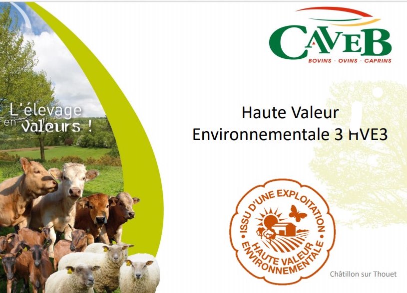bonnochristophe's tweet photo. Bravo à la coopérative #CAVEB ⁦@DeuxSevres⁩ précurseur ⁦@JesuisHVE⁩ avec 15 exploitations d’elevage #bovin certifiées #empreintecarbonne ⁦#agroecologie @Interbev_fr⁩ @Agri_Gouv⁩ ⁦@Ecologie_Gouv⁩ https://t.co/kAymYYFkFz