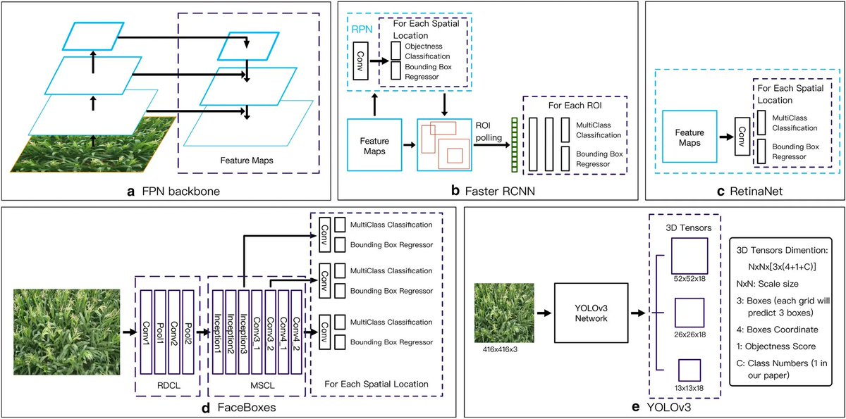 sci_plant's tweet photo. Maize tassels detection: a benchmark of the state of the art

https://t.co/8USVTfPzY8
#plantscience #tassels #plantmethod ♻️ https://t.co/QapWxlyB6j