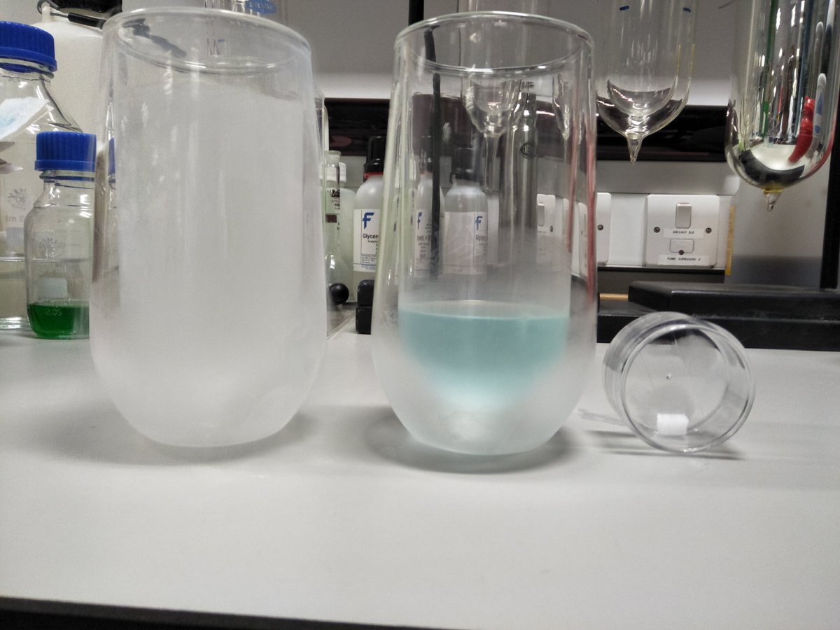 Jemma Naumann tweet media