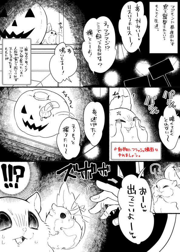 もんとくせいとまじもん=^・ω・^=逃げる小動物の深追いはやめましょう 