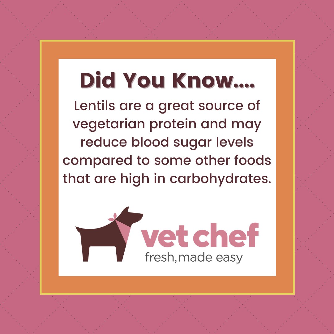 VetChef's tweet photo. If you feed your dog a vegetarian diet or you want to feed your dog a source of protein that may reduce blood sugar, lentils could be your answer.
#vetchef #freshfeddogs #freshdogfood #homecookingfordogs #homemadedogfood #dogfoodrecipe #dognutrition #fact #didyouknow https://t.co/OiE9YPodGT