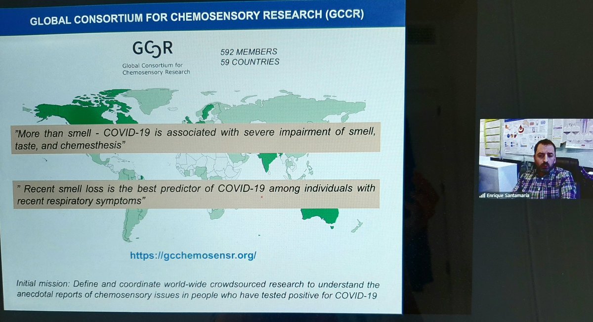 Proteomics_CNB's tweet photo. Enrique Santamaria de @navarrabiomed  presenta en la #XIRCPC "Olfato y COVID19: Caracterización de la proteostasis olfatoria inducida por SARS-CoV-2" @SaludISCIII @CNB_CSIC @csic #ProteoRed https://t.co/LtkkV8tCQT