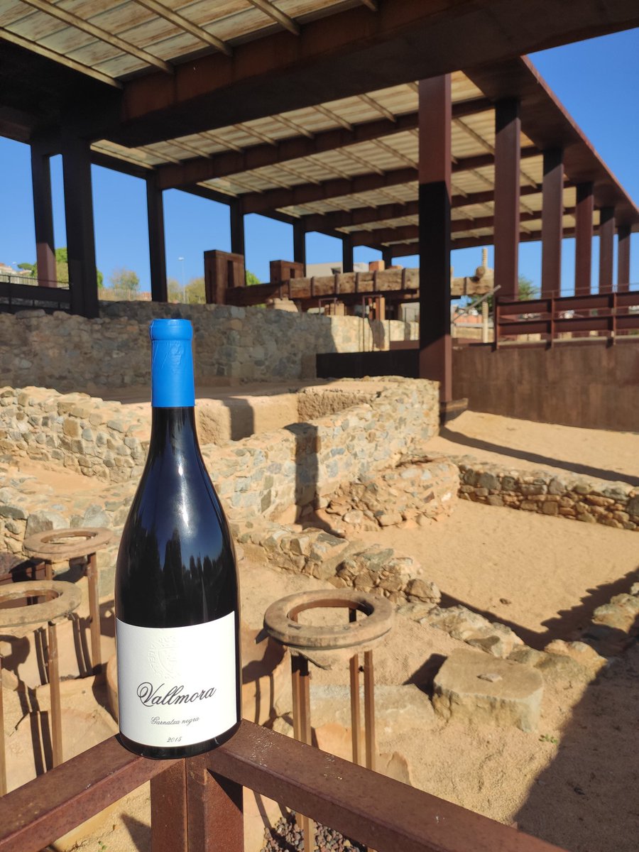 En breu podrem reprendre les visites amb tast de vi.
Us presentem el nostre vi Vallmora que podeu adquirir a la botiga.
Recordeu que la visita guiada és cada cap de setmana a les 11h.
Salut!