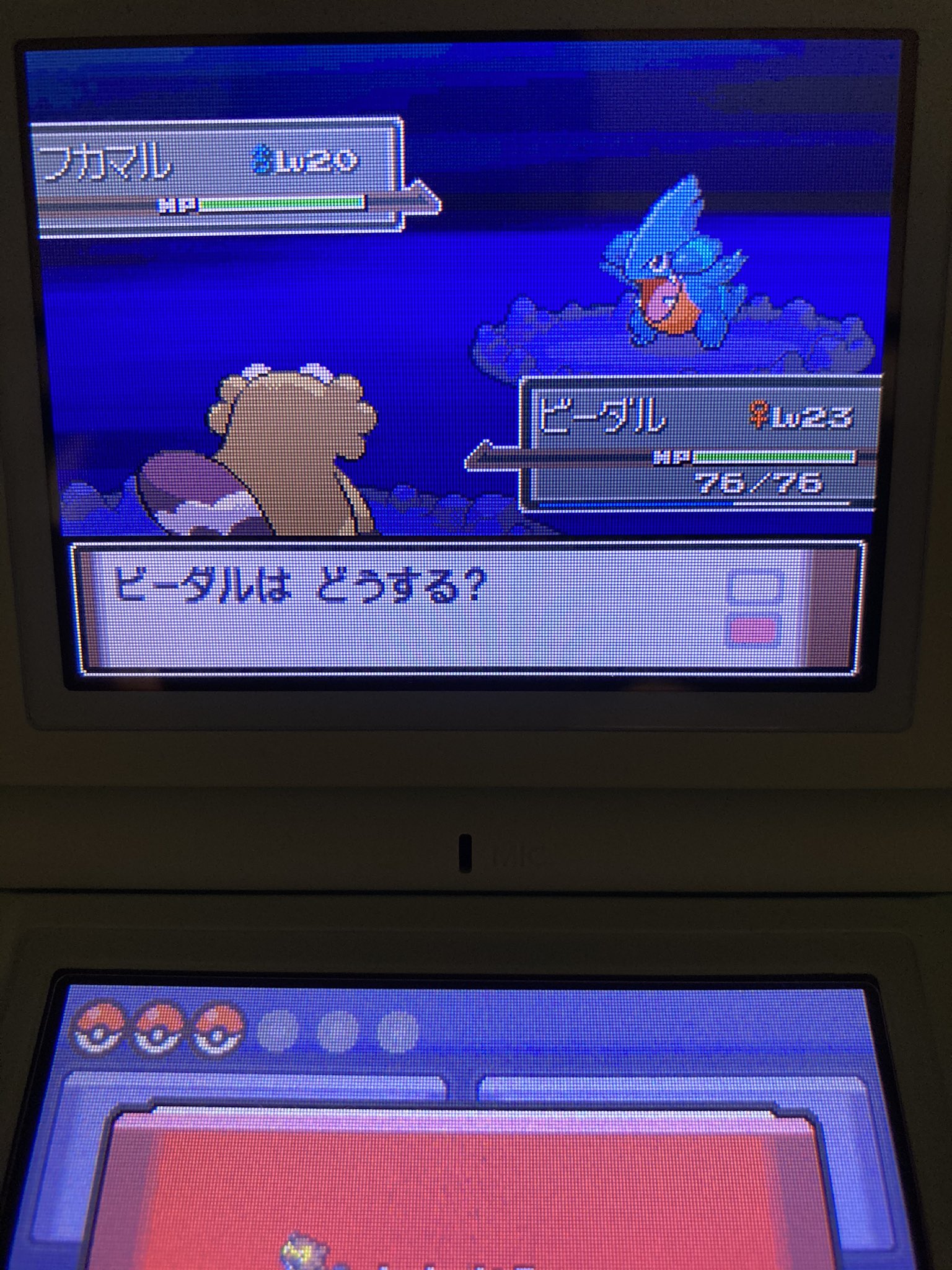 ポケモンpt Twitter Search Twitter