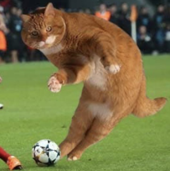 Images you need for FT A Thread