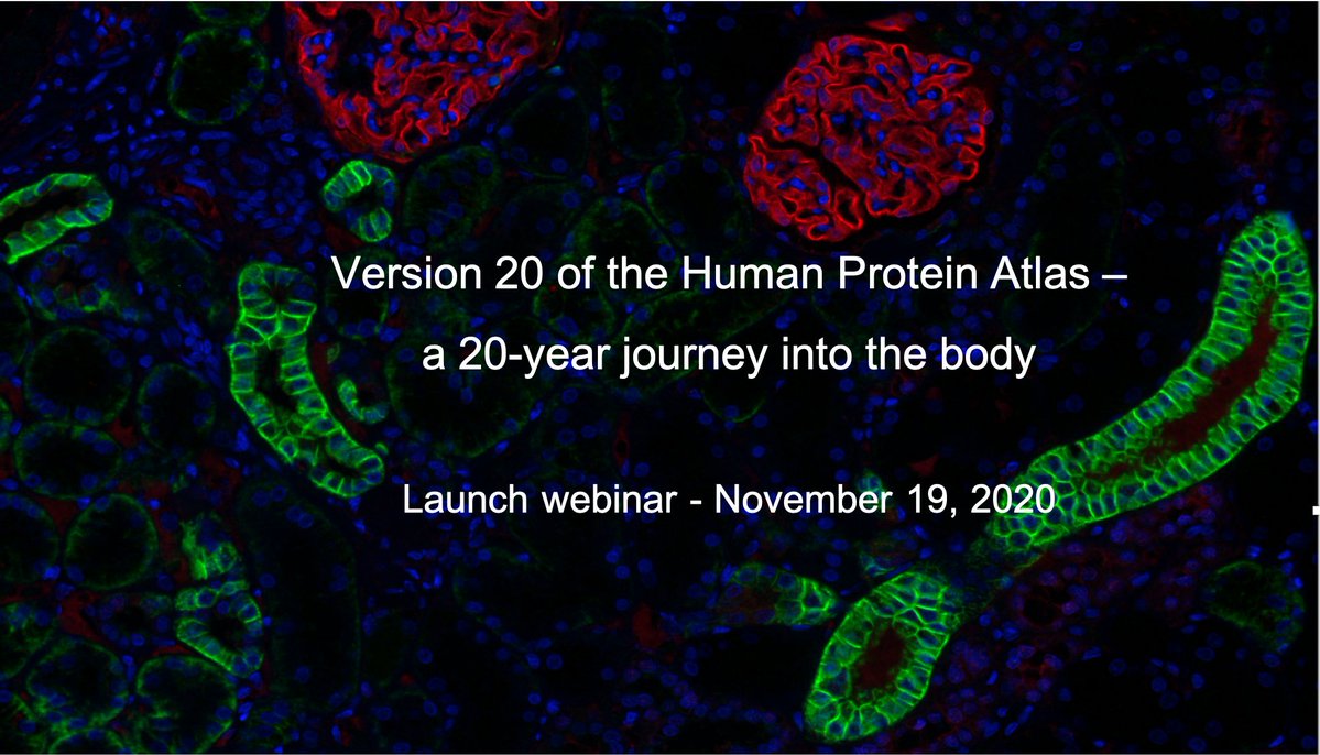 Version 20 of the #HumanProteinAtlas has been released today. Watch the  Launch Webinar here https://t.co/8DOGyZfhLo