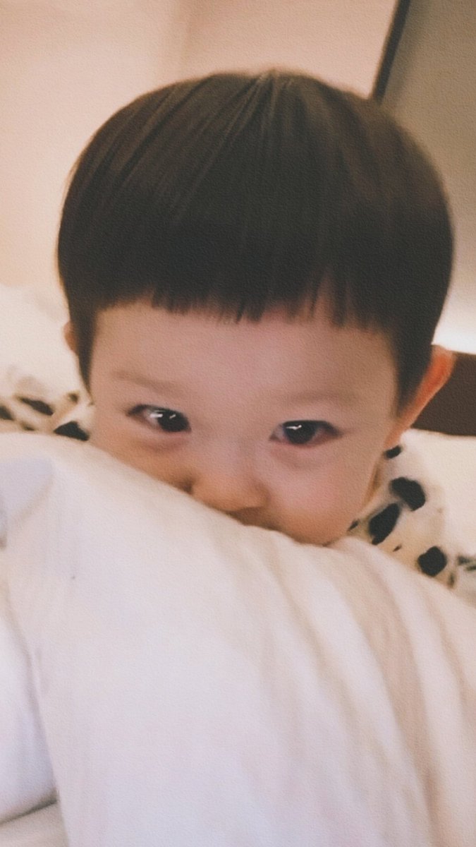 cangwuk's tweet photo. Sleepy pumpkin. https://t.co/XE7etqvTlo