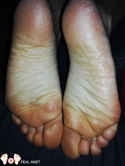 Feal Anet’s pics and videos