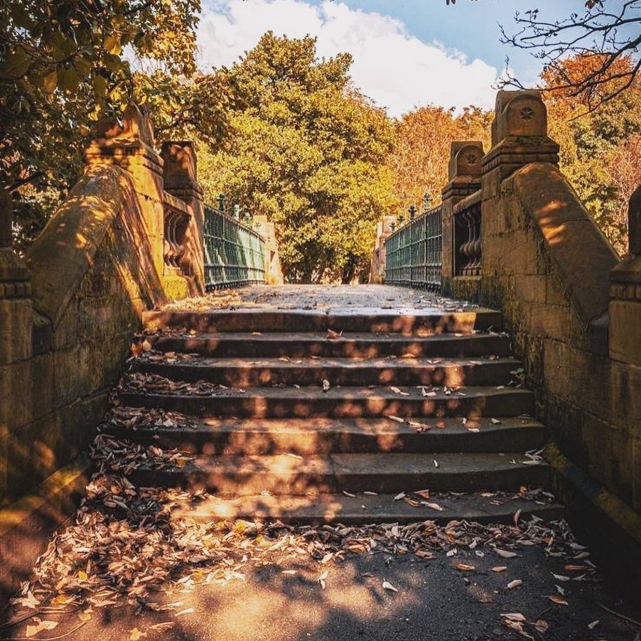 LiverpoolGuild's tweet photo. Walkies with Oscar 🐶💘
Enjoy a change of scenery, mix up the lockdown routine and fall in love with the amazing green (orange) spaces right on our door step 🍂🍄🌞🌳
📸 Photo credit for Instagram
🌟 dogdaysofoscar
🌟 scousescene 
🌟 livuni
🌟 mikescaptures https://t.co/npQ9LloWR0