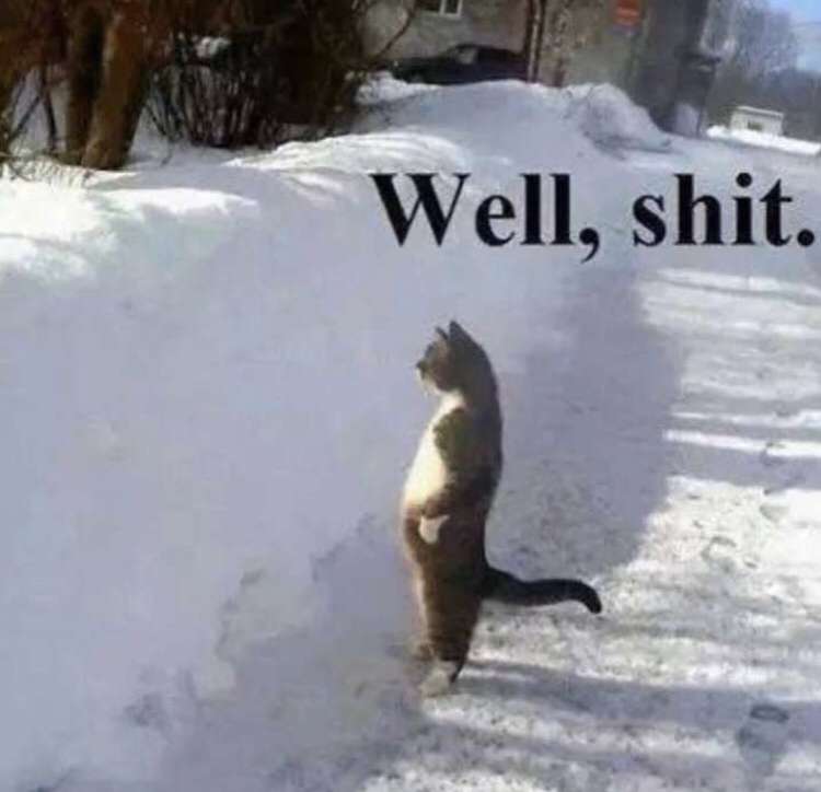 Images you need for FT A Thread