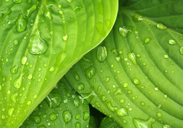 CBCbuilt's tweet image. We bring extensive knowledge of green building materials and strategies. From energy saving heating concepts, to recycled material utilization, we can give you insight on options that will work well for your project.