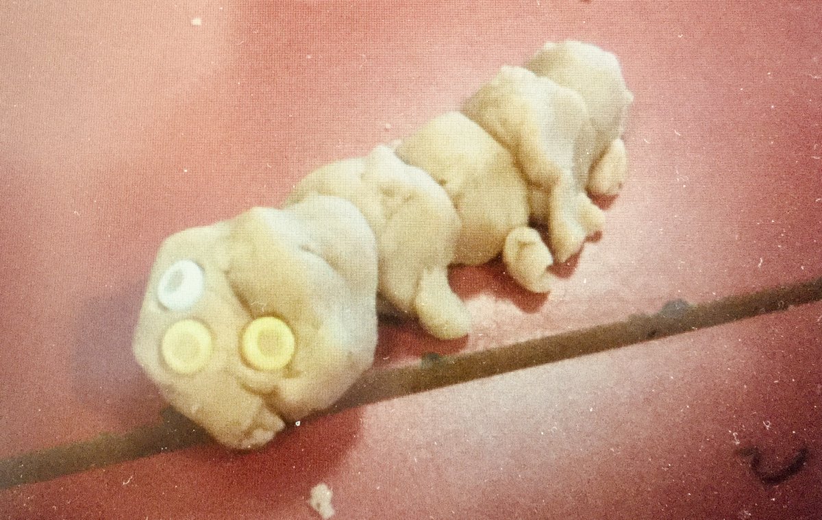 firsprimarysale's tweet photo. #RecKP Today one of our class created this wonderful caterpillar from playdough. He persisted, adapted, thought critically and created this amazing piece of art! It then led to lots of discussion about life cycles #process #childledart #FirsArt https://t.co/ciI9WfzKLb