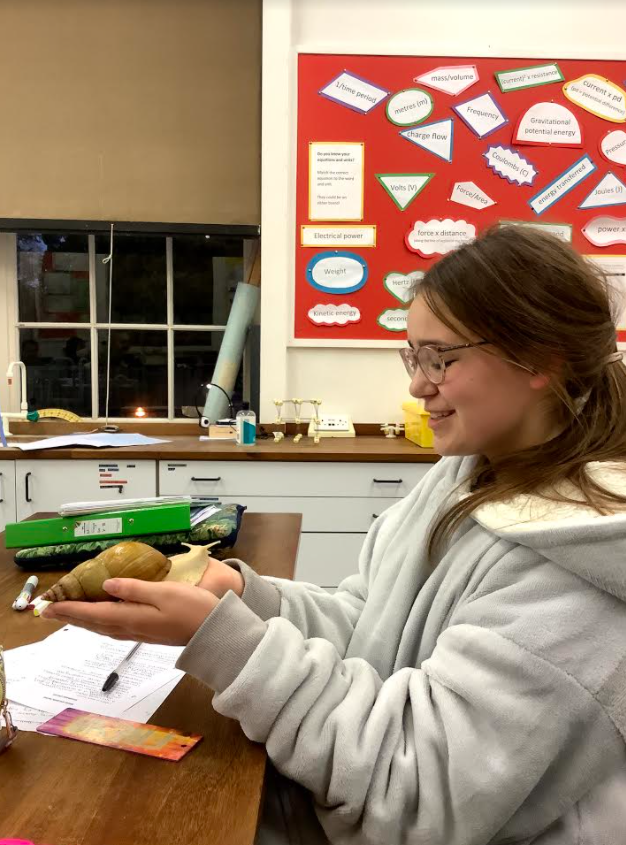 QueenMargarets's tweet photo. This week we welcomed a new addition to the QM Family - Michelle the Giant Land Snail. She has a cheeky personality - only a couple of nights in, she escaped from her tank and miraculously appeared on top of the adjacent cupboard! One to watch!
#QMExperience #QMLearning #QMFamily https://t.co/uqhZfHIdqJ