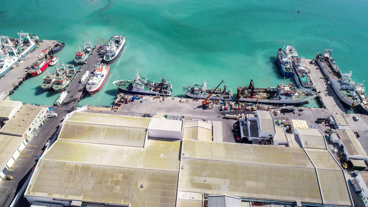 mscemportugal's tweet photo. Parabéns à pescaria de arrasto e palangre de pescada na Namíbia, a primeira do país e a segunda em África a alcançar a certificação do @MSCecolabel 
👉https://t.co/UYUcXaKdNi
#PensaAzul #SeloAzul #PescaSustentável @mscemportugal #IgloPortugal 
Pic Credit: Emwbiinda Fishing https://t.co/TO8L08Win4