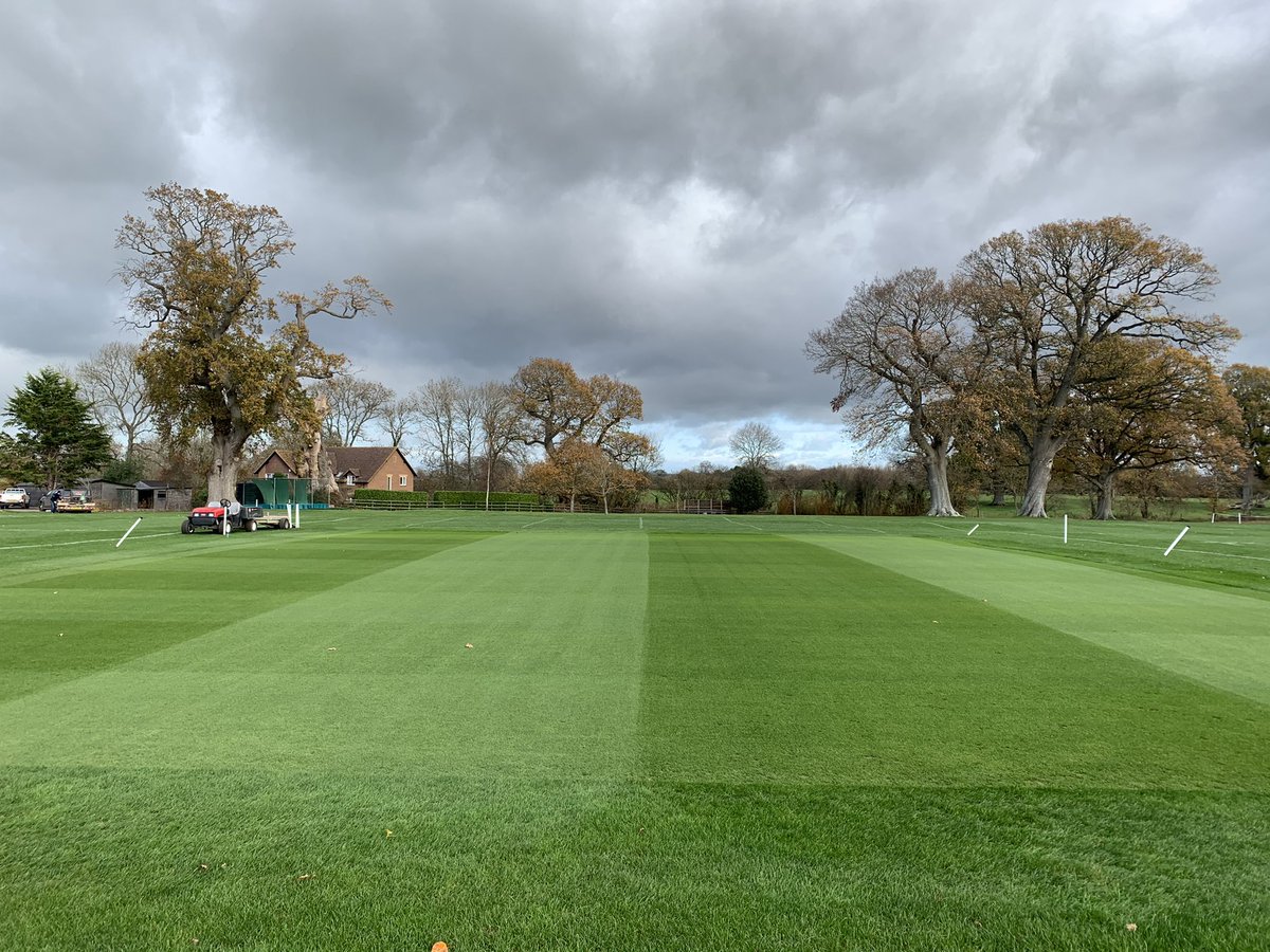 kitts81's tweet photo. Squares doing well. @HeadlandAmenity #20/20/30 doing itβs thing. @AllettMowers #C34E https://t.co/nqOZfslBkw