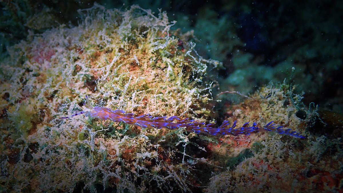 cherrywyr's tweet photo. More nudi~ https://t.co/2uV6A5l0aD