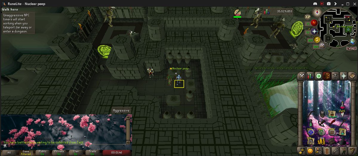 timebrawler's tweet image. so i learned how to edit my runelite with custom pics and i gotta say im loving it, i still have a bit of editing to do but im excited for the end result 💜