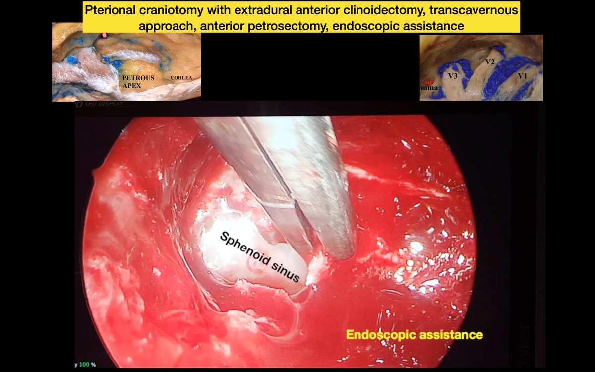 Dr. Mustafa K. Baskaya, MD tweet media