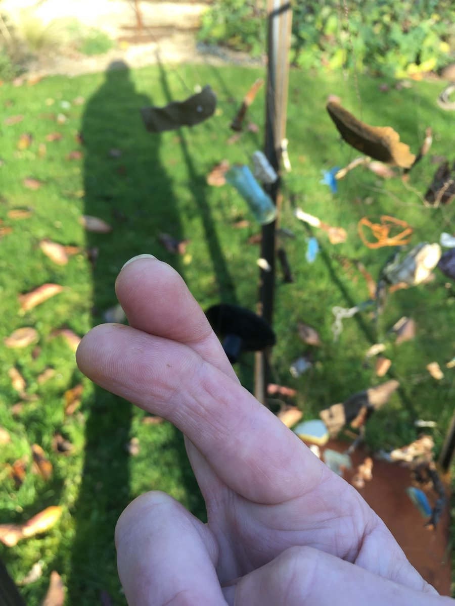 fionasculpture's tweet photo. Massive #ThanksToYou #NationalLottery &amp; @ace_national for supporting #art projects #stepinstone @bwing2019 &amp; #lifeintheundergrowth - all greatly impacted on my practice https://t.co/8ScXvksO8r https://t.co/wqNZcIKNgw