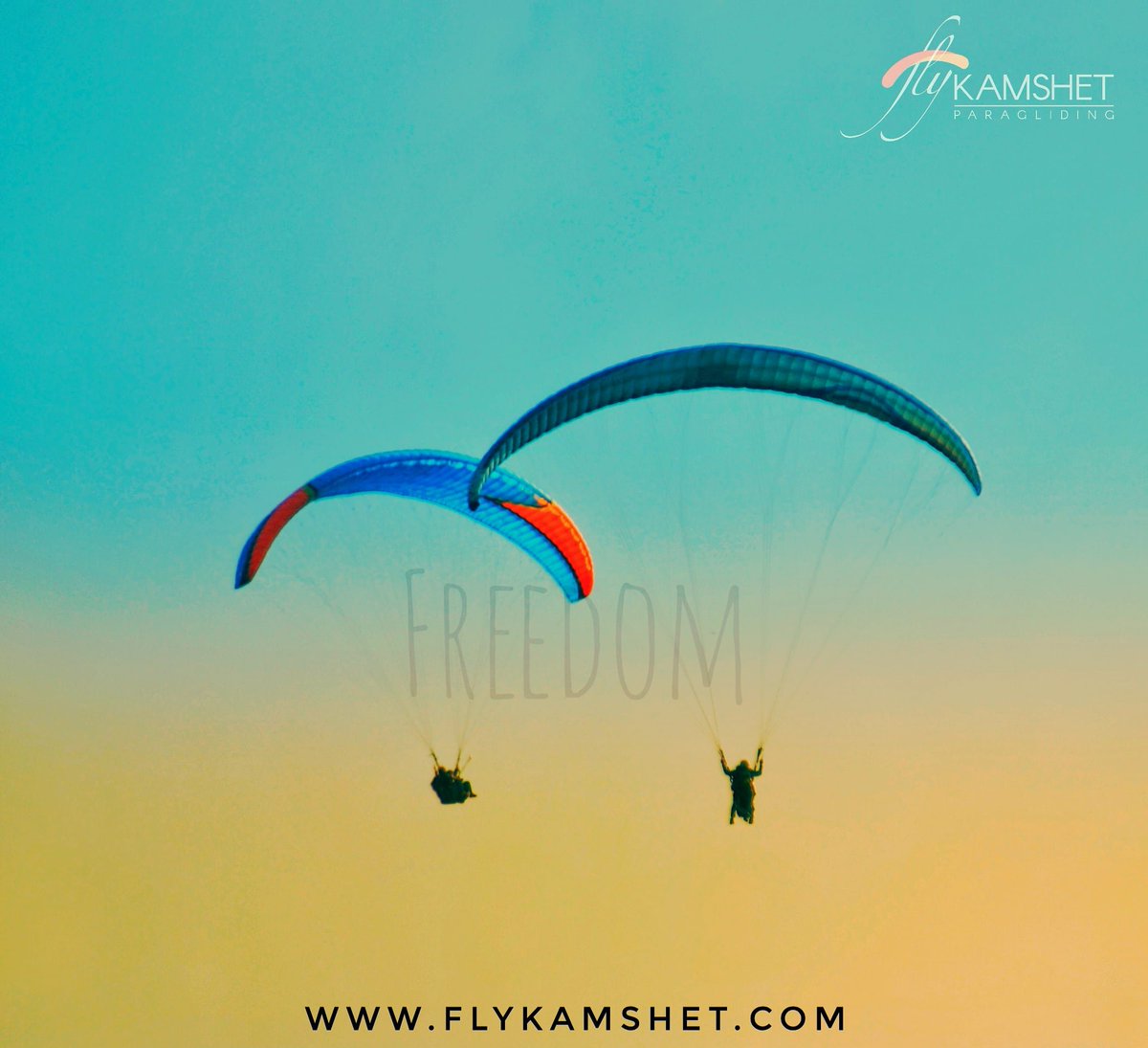 flykamshet tweet picture