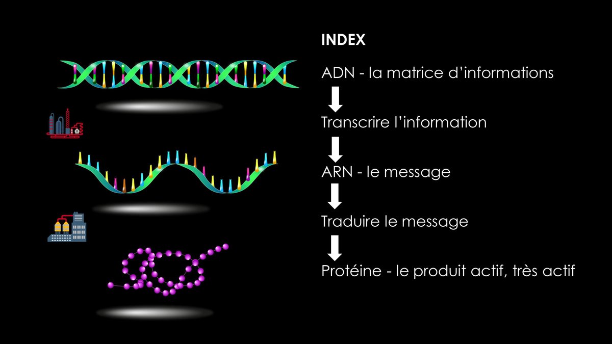 brigittelundin's tweet photo. Atelier by Patrizia PhD #biologiemoleculaire #CSIPMUSE "Pédagogie active et sciences dures" avec micro sprint #designthinking @umontpellier @PolytechMontp @FacsciencesUM @enscmchimiemtp @Iutbeziers @Supagro https://t.co/uzYS10N53c