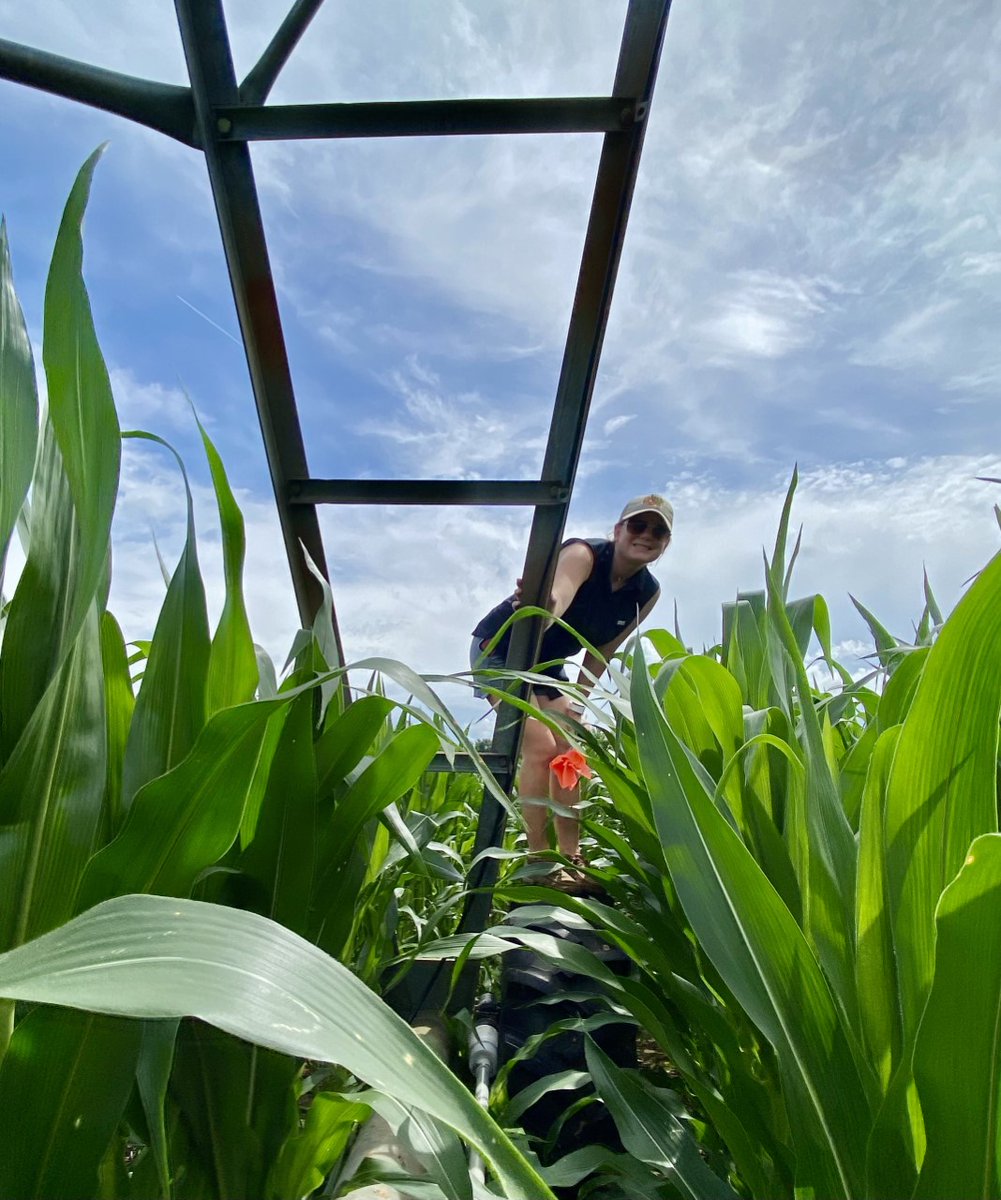 AShekoofa's tweet photo. Congrats to Kendall Sheldon for another accomplishment at 2020 ASA-CSSA-SSSA annual meeting. She is always up for a new adventure and challenge....  Cover Crop Management, 2nd place, MS-Oral student competition! #seedphysiology #covercrops #allelopathy @UTPlantSciences https://t.co/wH4TpeR7IT