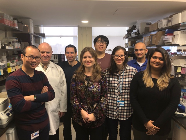 DRSISMMS's tweet photo. Meet the Ezhkova Lab. They focus on uncovering the signaling-chromatin axes that govern epithelial stem cell fate, and how these molecular processes contribute towards epithelial cancer initiation and progression. Visit https://t.co/nA0A8FtlTe, then apply to DRS  @GradSchoolSinai https://t.co/zagmxBZsHM