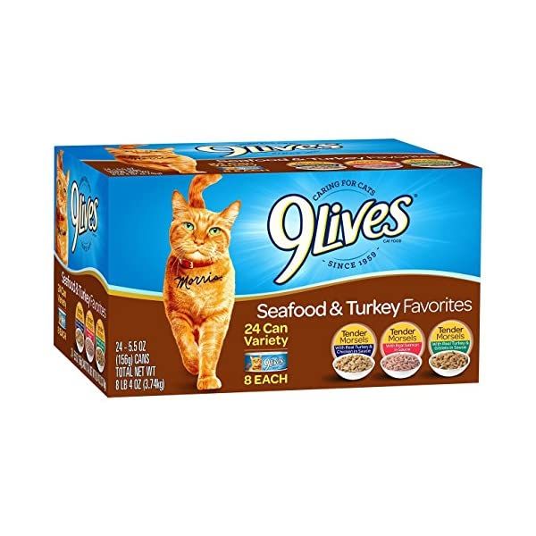 BillisPet's tweet photo. https://t.co/21v5OCoA1q
Buy the case of 24 of kitty's wet food.
#petsupplies #catsupplies #dogsupplies #cattoy #interactivetoy #electronictoy #chewtoy #squeaktoy #tugtoy #fetchtoy #plushtoy #catnip #scratchingpost #hammock #catbed #petfountain #collar #harness #leash #tieout https://t.co/XFk6BnNmmz
