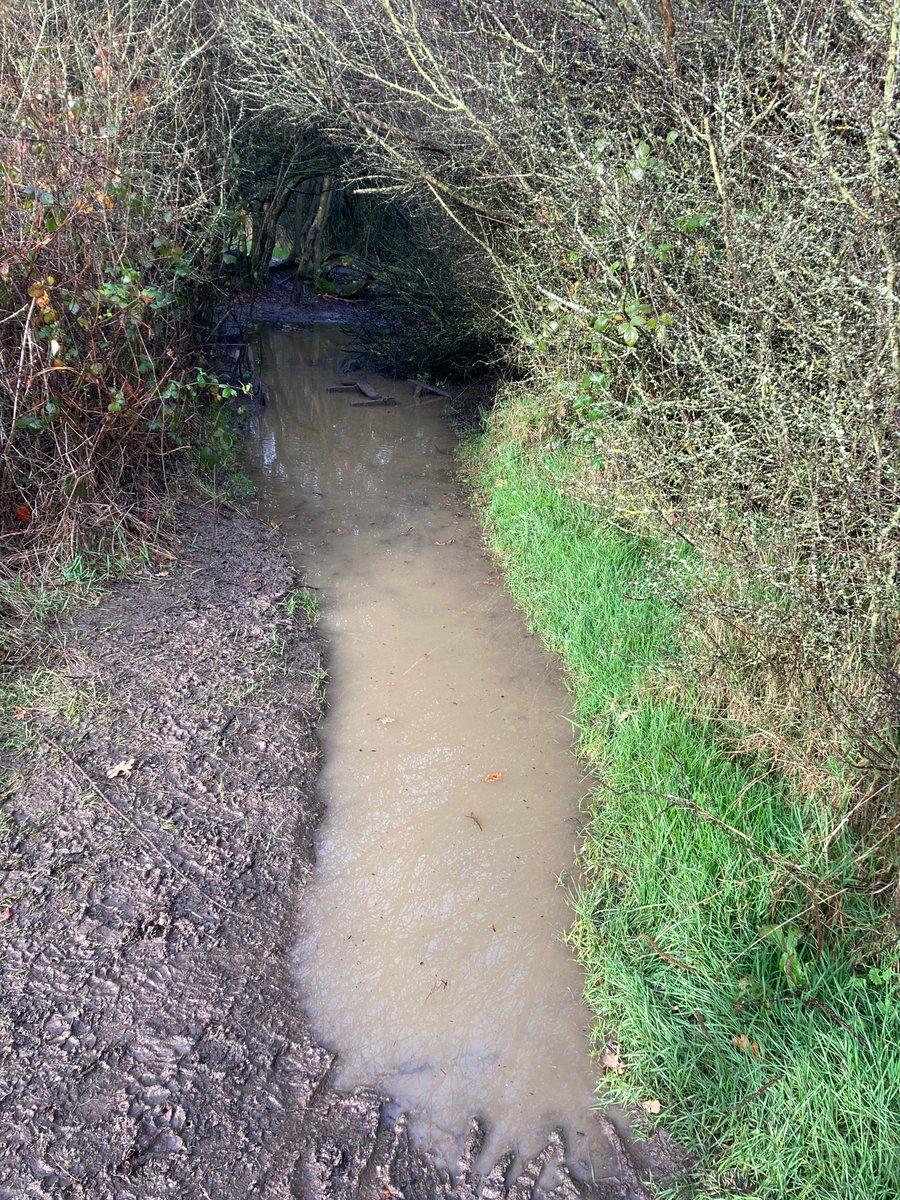 danielwilson's tweet image. A sloppy run today, even by my standards. #lovethemud