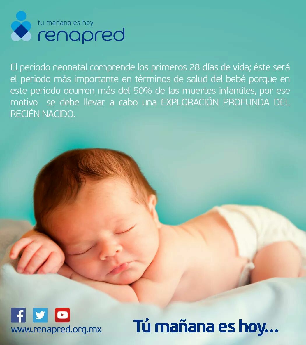 El periodo neonatal comprende los primeros 28 días de vida éste será el periodo más importante en términos de salud del bebé porque en este periodo ocurren más del 50% de las muertes infantiles, por ese motivo se debe llevar a cabo una exploración profunda